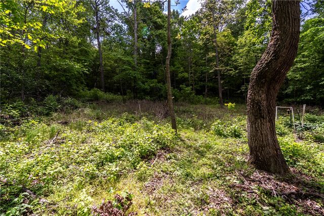 16699 Posy Mountain Road, Rogers, AR 72756