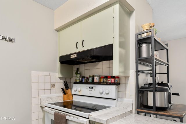 1310 East 8th Avenue, Johnson City, TN 37601