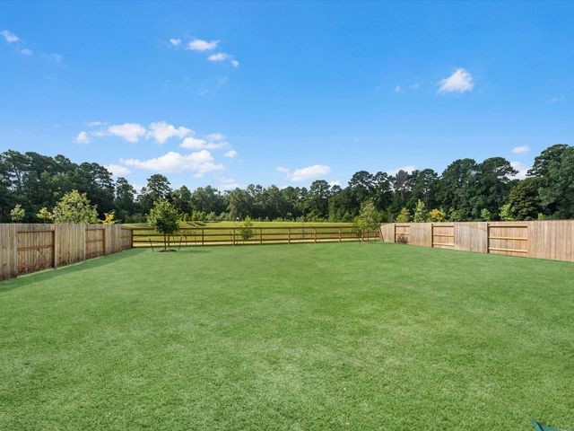 14323 Moonlit Creek Court, Montgomery, TX 77316