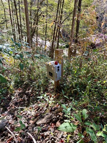 0 Wilkes Road, Bryson City, NC 28713