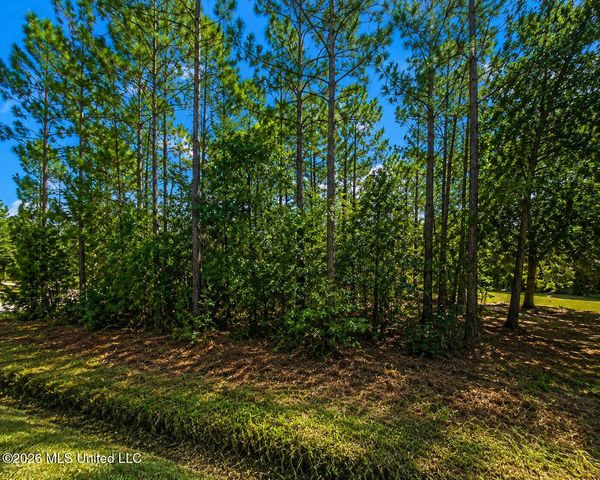 0 Polk Street, Waveland, MS 39520