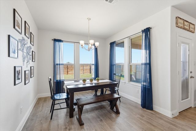 10709 Table Bluff Street, Aubrey, TX 76227