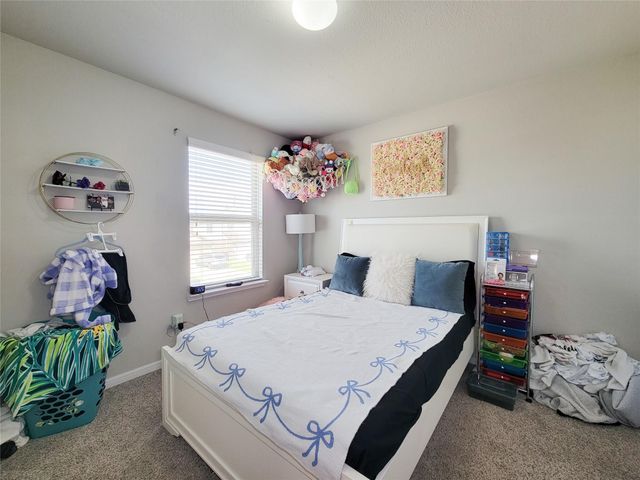 8003 Ecru Lane, Rosharon, TX 77583