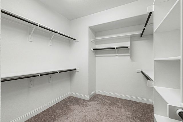 1700 Rain Lily Street, Celina, TX 75078