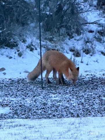 5555 W Dalcross Drive, Boise, ID 83714