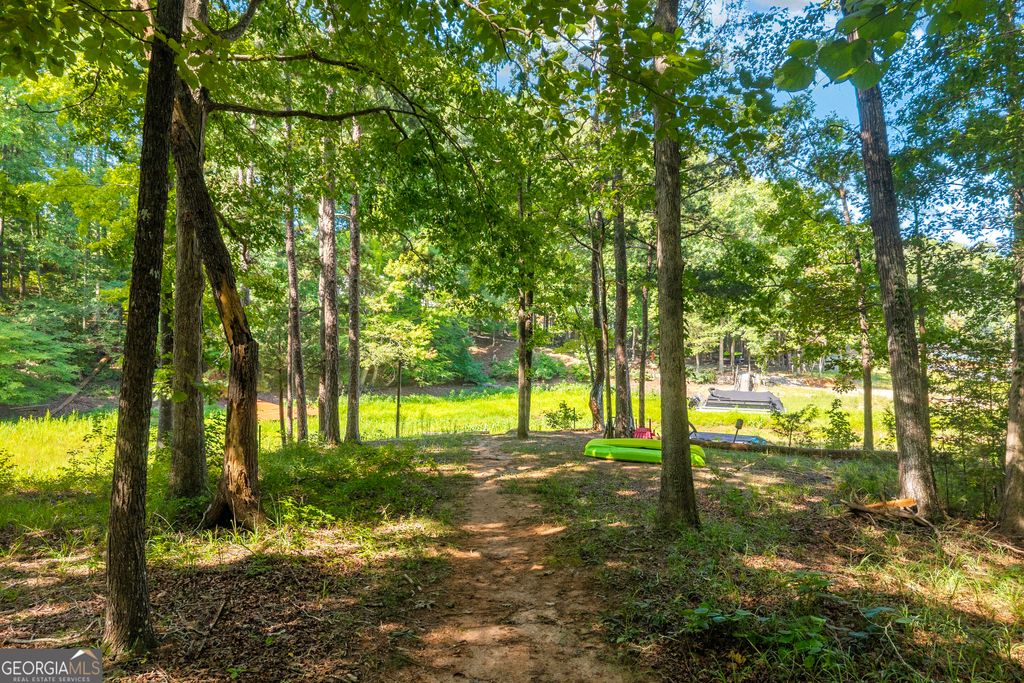 121 Lake View Court, Lavonia, GA 30553 — photo 4