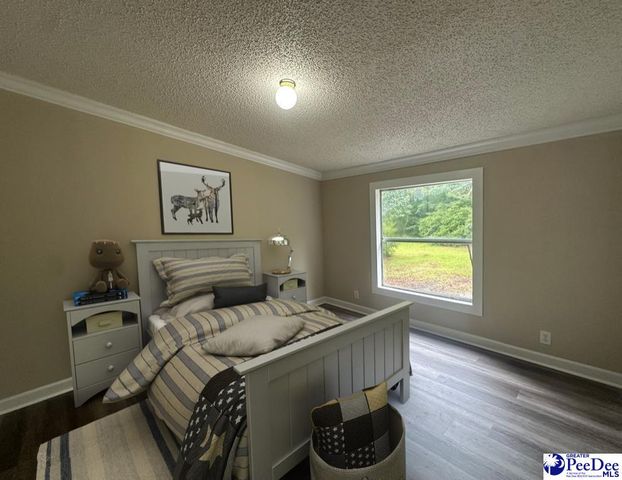 1518 E Effingham Highway, Effingham, SC 29541