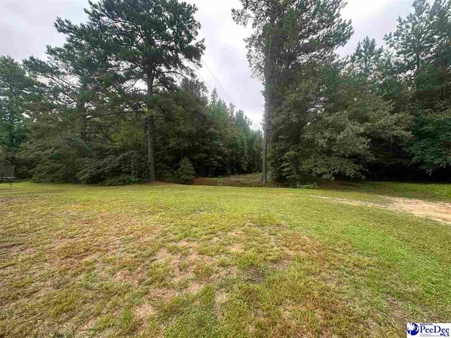 1518 E Effingham Highway, Effingham, SC 29541