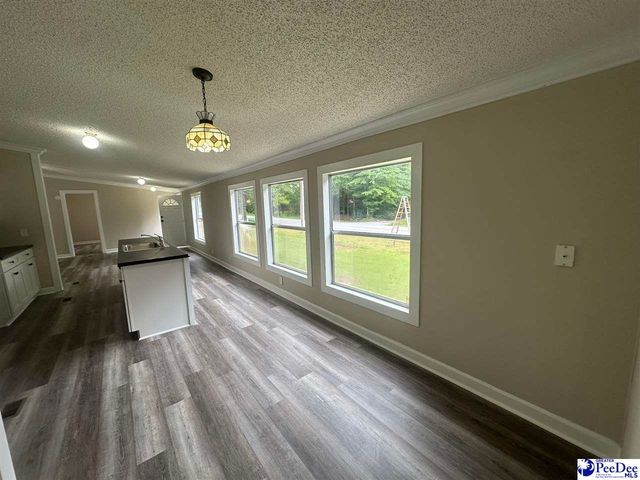 1518 E Effingham Highway, Effingham, SC 29541