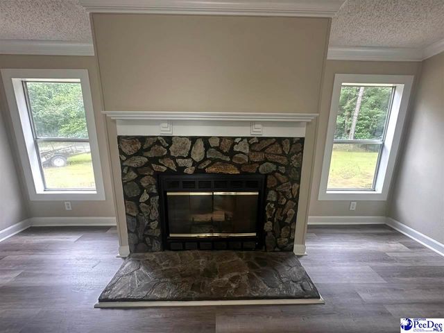 1518 E Effingham Highway, Effingham, SC 29541