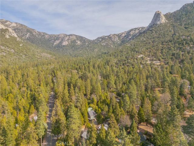25150 Fern Valley Rd, Idyllwild, CA 92549
