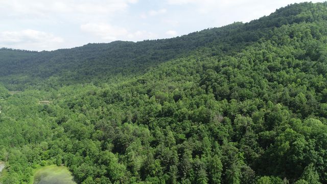 999 Rose Creek Road, Williamsburg, KY 40769