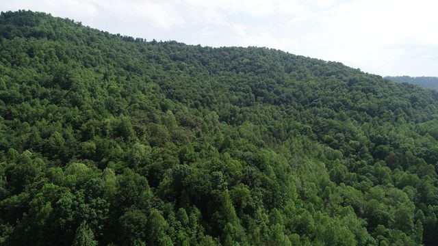 999 Rose Creek Road, Williamsburg, KY 40769