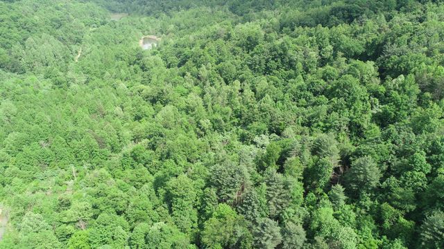 999 Rose Creek Road, Williamsburg, KY 40769