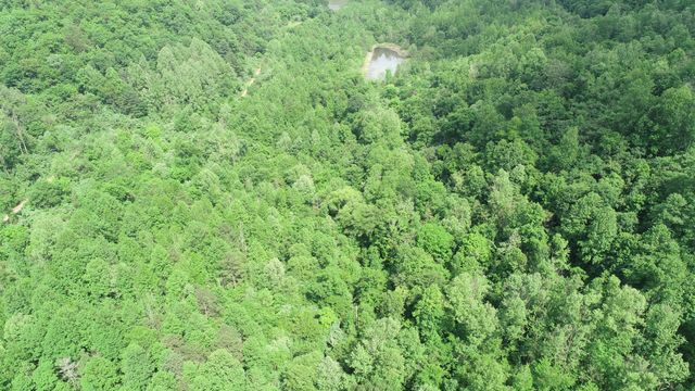 999 Rose Creek Road, Williamsburg, KY 40769