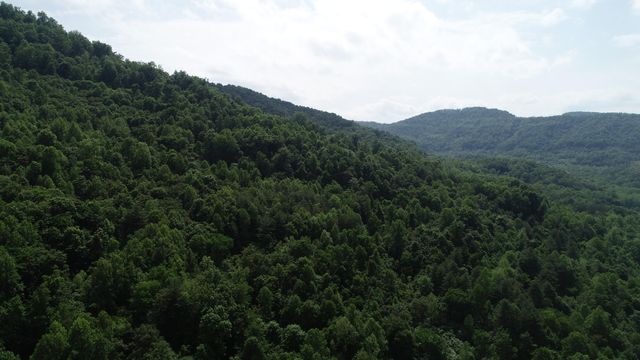 999 Rose Creek Road, Williamsburg, KY 40769