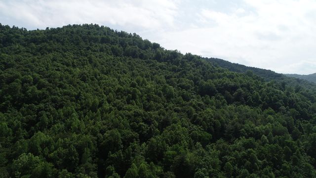 999 Rose Creek Road, Williamsburg, KY 40769