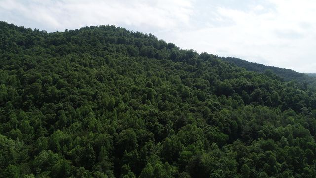 999 Rose Creek Road, Williamsburg, KY 40769