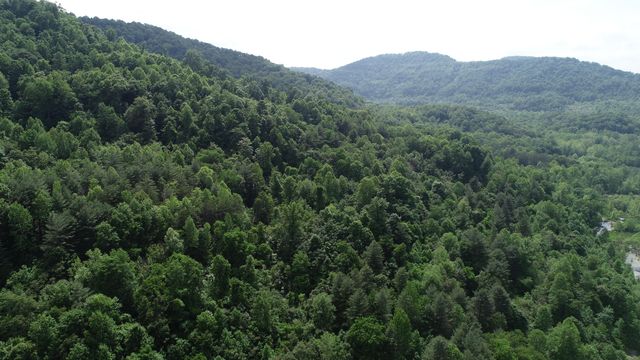 999 Rose Creek Road, Williamsburg, KY 40769