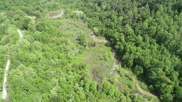 999 Rose Creek Road, Williamsburg, KY 40769