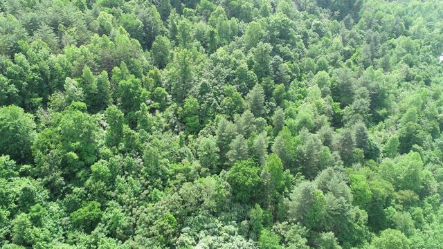 999 Rose Creek Road, Williamsburg, KY 40769