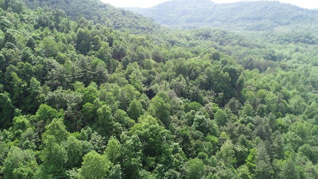 999 Rose Creek Road, Williamsburg, KY 40769