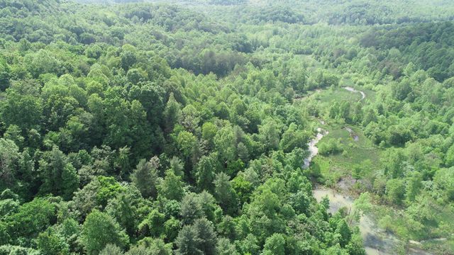 999 Rose Creek Road, Williamsburg, KY 40769