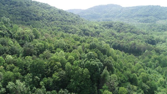 999 Rose Creek Road, Williamsburg, KY 40769