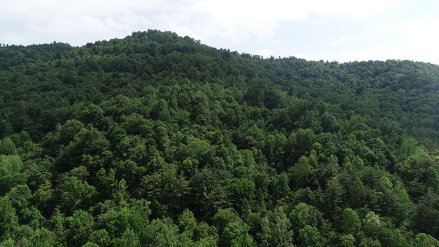 999 Rose Creek Road, Williamsburg, KY 40769