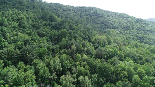 999 Rose Creek Road, Williamsburg, KY 40769