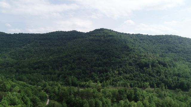 999 Rose Creek Road, Williamsburg, KY 40769