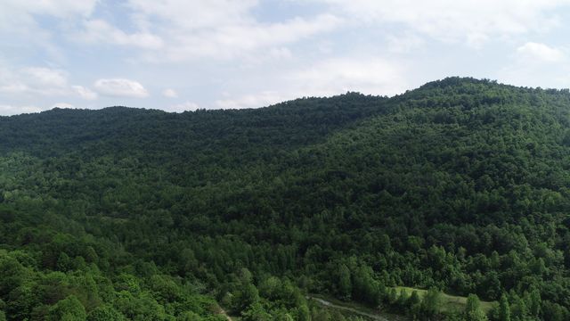 999 Rose Creek Road, Williamsburg, KY 40769