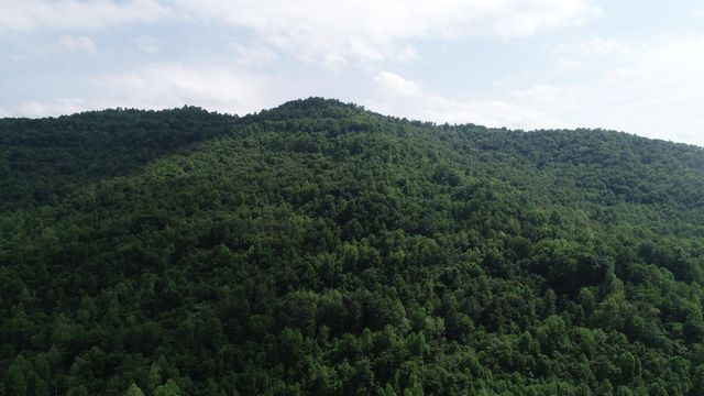 999 Rose Creek Road, Williamsburg, KY 40769