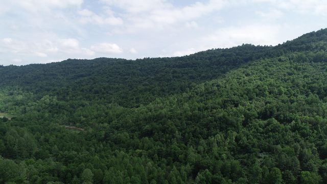 999 Rose Creek Road, Williamsburg, KY 40769