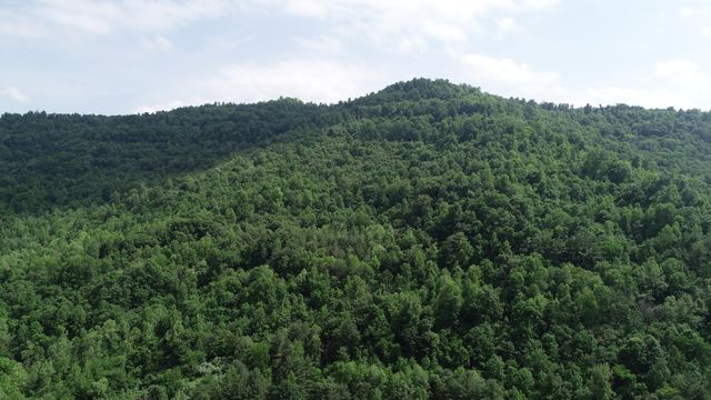 999 Rose Creek Road, Williamsburg, KY 40769