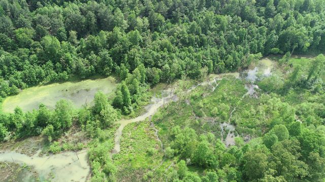 999 Rose Creek Road, Williamsburg, KY 40769