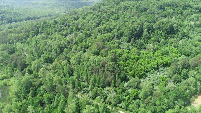 999 Rose Creek Road, Williamsburg, KY 40769