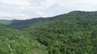 999 Rose Creek Road, Williamsburg, KY 40769