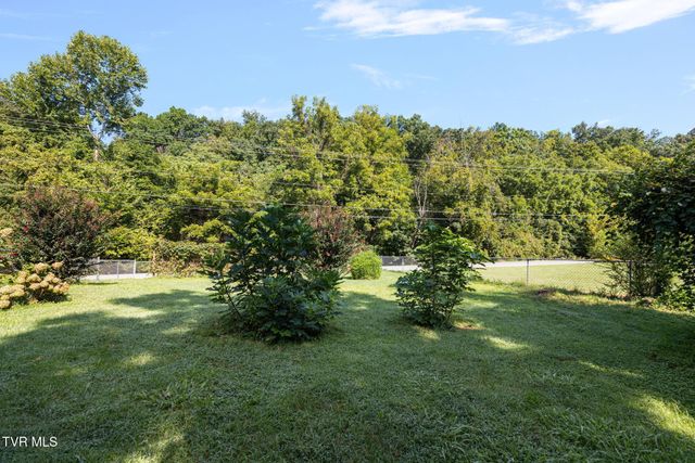101 Jewel Street, Johnson City, TN 37601