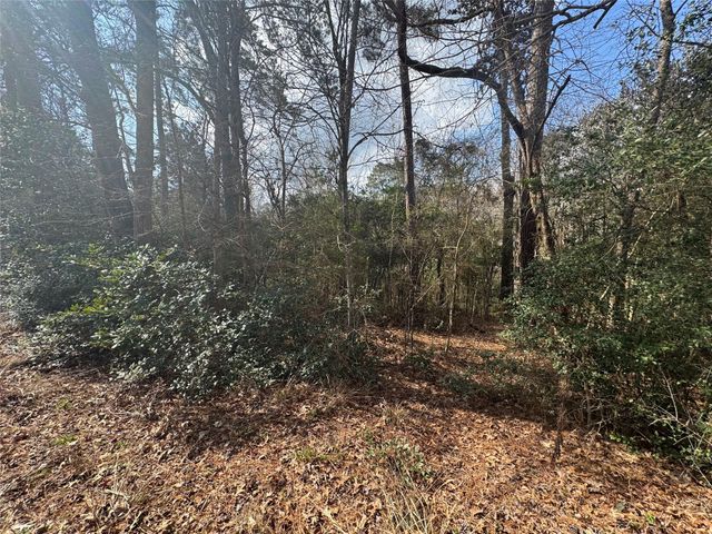 Lot 219 Mallard Drive, Coldspring, TX 77331
