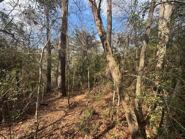 Lot 219 Mallard Drive, Coldspring, TX 77331