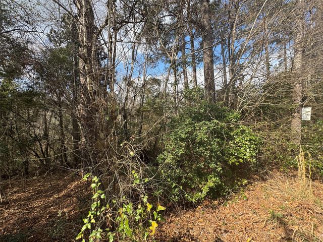 Lot 219 Mallard Drive, Coldspring, TX 77331
