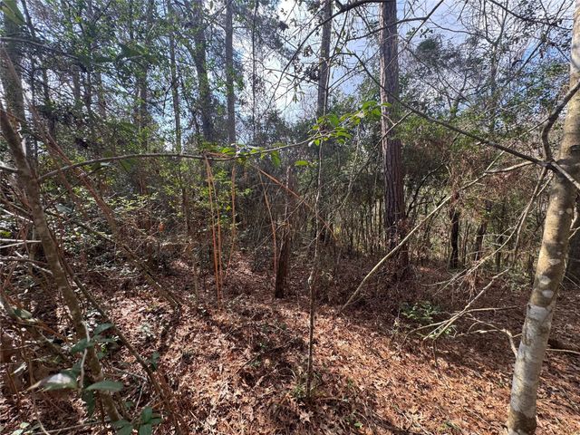 Lot 219 Mallard Drive, Coldspring, TX 77331