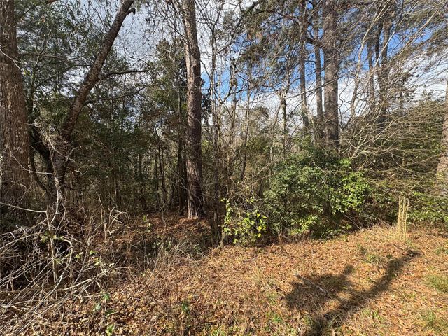 Lot 219 Mallard Drive, Coldspring, TX 77331