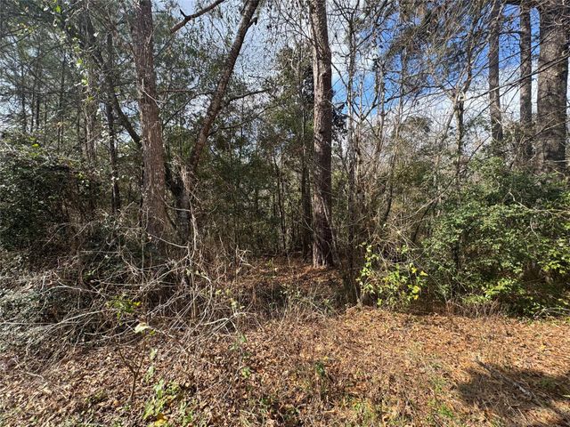 Lot 219 Mallard Drive, Coldspring, TX 77331
