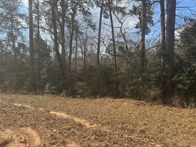 Lot 219 Mallard Drive, Coldspring, TX 77331