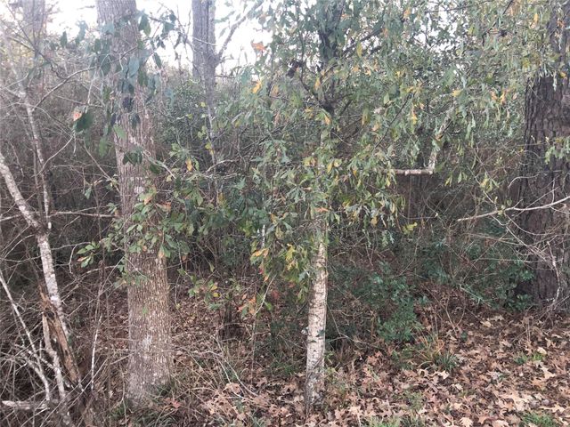 Lot 219 Mallard Drive, Coldspring, TX 77331