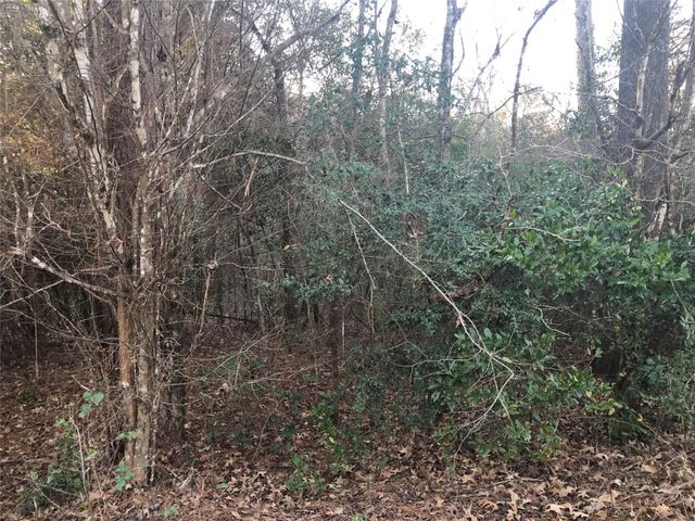 Lot 219 Mallard Drive, Coldspring, TX 77331