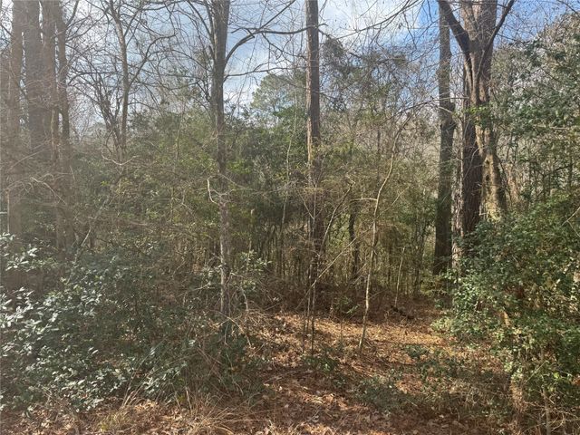 Lot 219 Mallard Drive, Coldspring, TX 77331