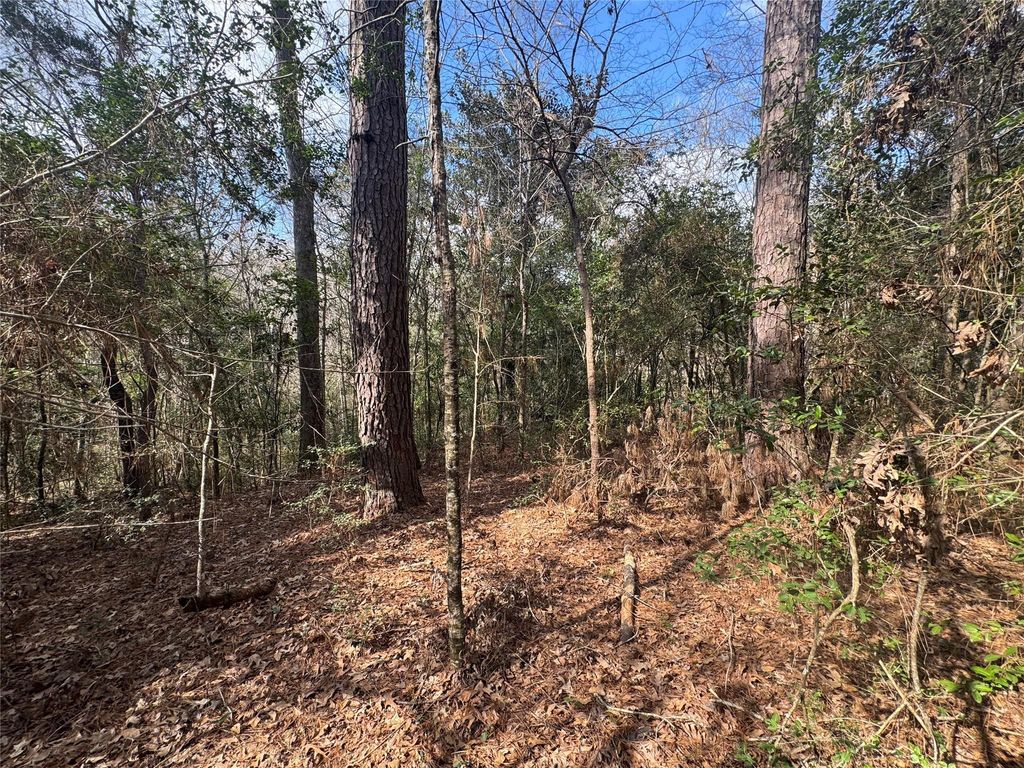 Lot 219 Mallard Drive, Coldspring, TX 77331